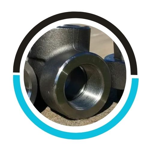 ANSI 16.11 Carbon Steel Forged Fittings in USA