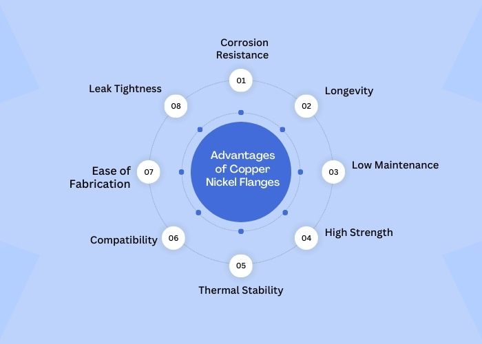 Advantages of Copper Nickel Flanges​