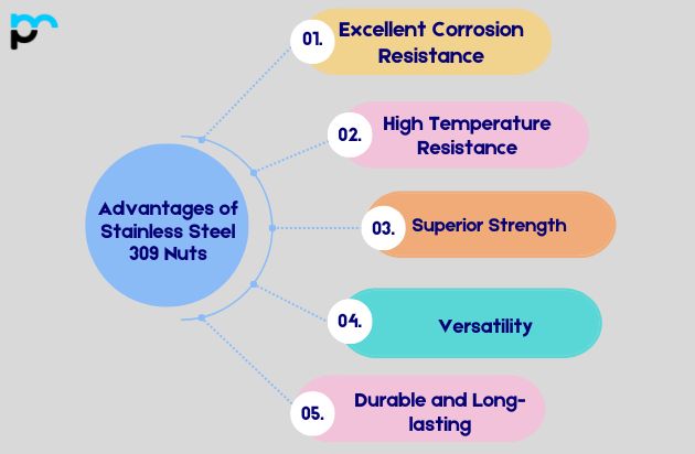 Advantages of Stainless Steel 309 Nuts