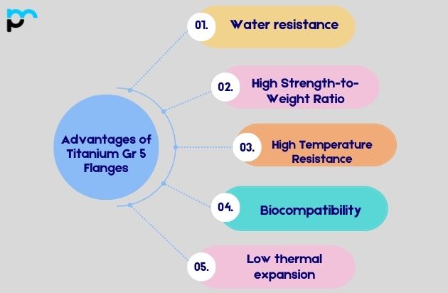 Advantages of Titanium Gr 5 Flanges