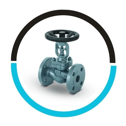 Globe Valves in USA