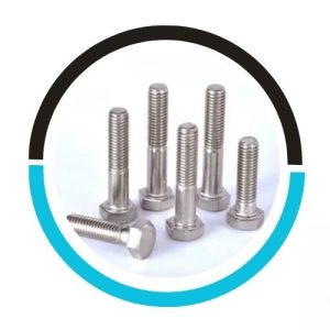 Hastelloy-heavy-hex-bolt in USA