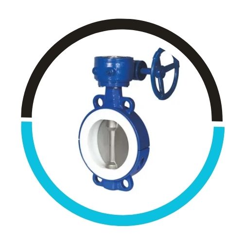Lined Butterfly Valves in USA