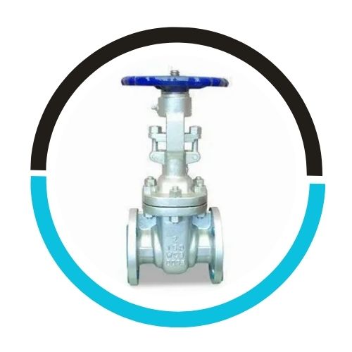 Lined Gate Valves in USA