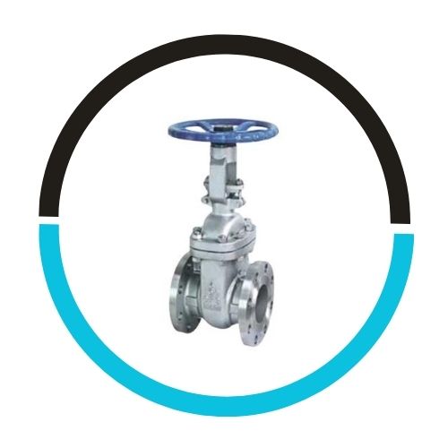 Nickel Alloy Gate Valve in USA