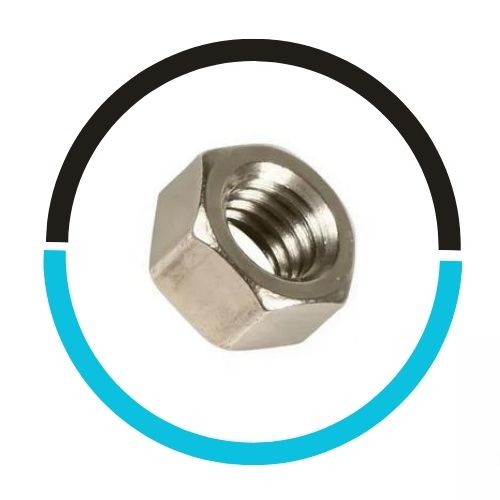 SS-316-Heavy-Hex-Nut in USA
