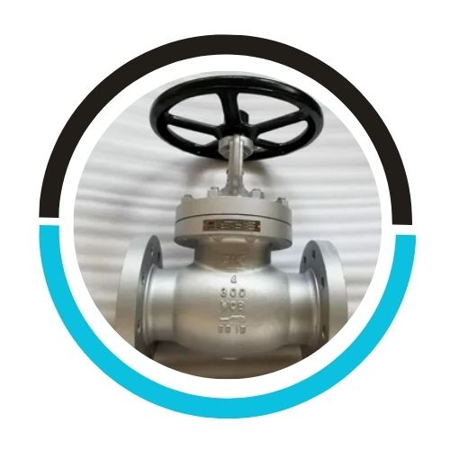 Stainless Steel 304 Globe Valve in USA