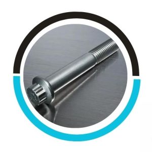Stainless-Steel-316Ti-Expansion-Anchor-Bolt-In-USA