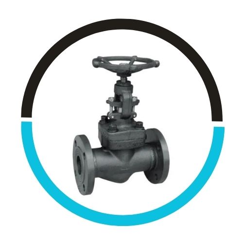 Stainless Steel Angle Globe Valve in USA