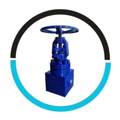 Stainless Steel Bellows Globe Valve in USA