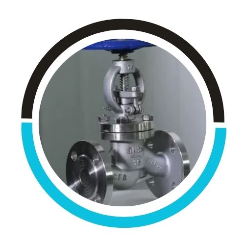 Stainless Steel Straight-line Globe Valve in USA