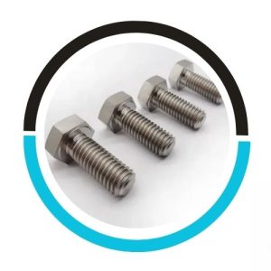 Titanium-Hex-Bolt in USA
