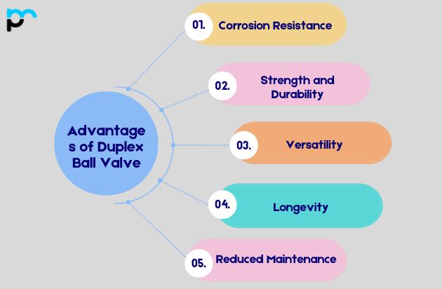 Advantages of Duplex Ball Valve