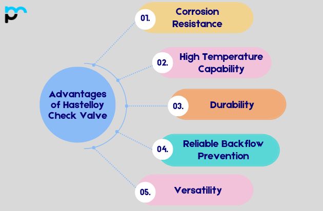 Advantages of Hastelloy Check Valve