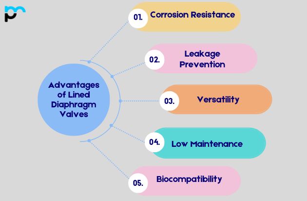 Advantages of Lined Diaphragm Valves