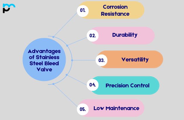 Advantages of Stainless Steel Bleed Valve